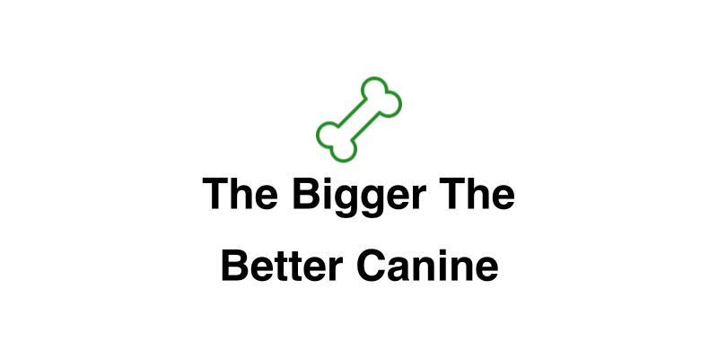 The Bigger The Better Canine Camp