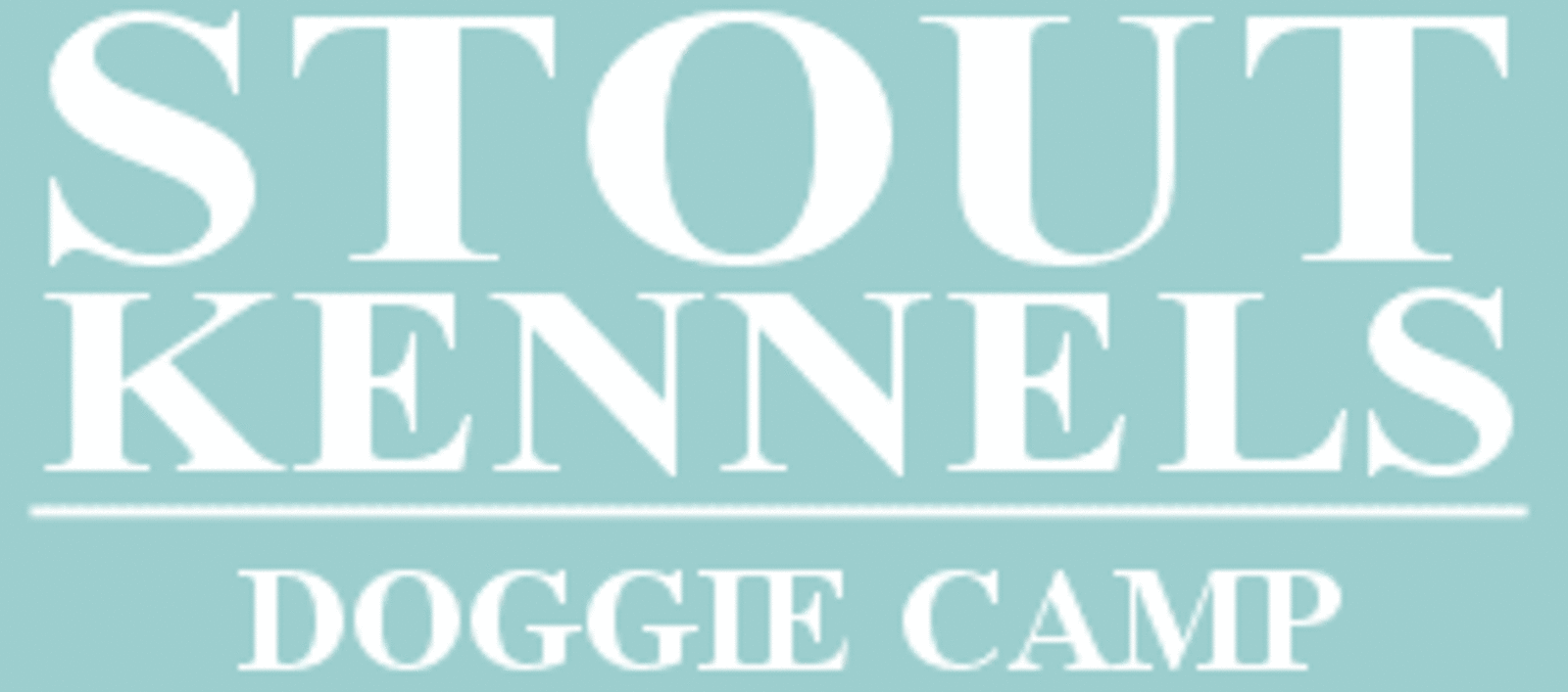 Stout Kennels Doggie Camp