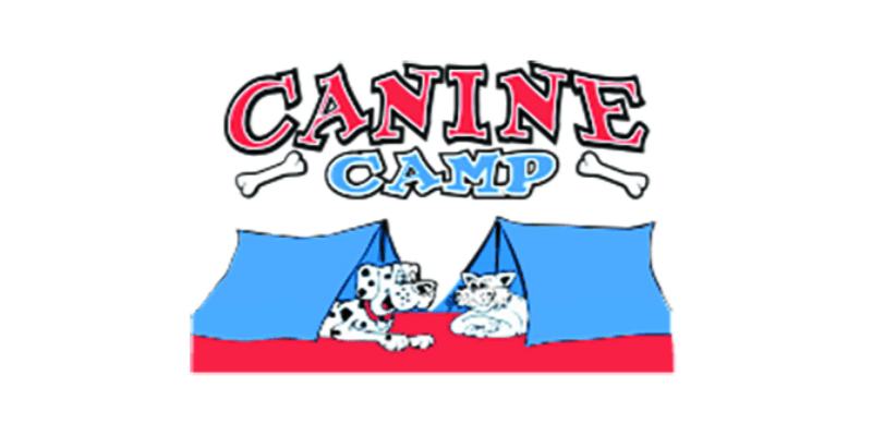 Canine Camp Boarding