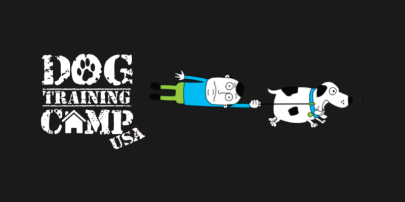 Dog Training Camp USA