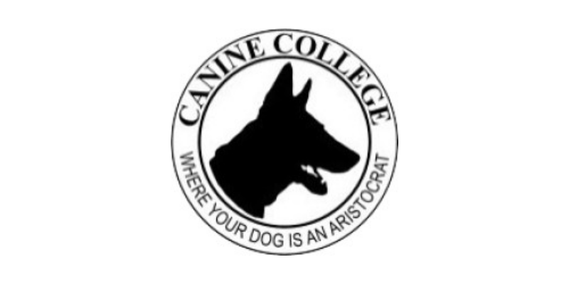 Canine College