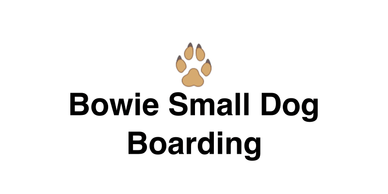 Bowie Small Dog Boarding