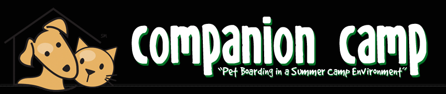 Companion Camp