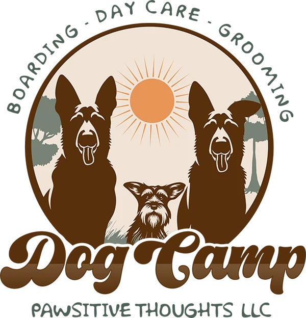 Dog Camp