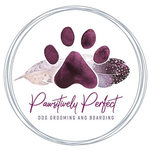 Pawsitively Perfect