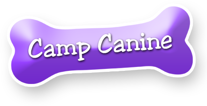 Camp Canine