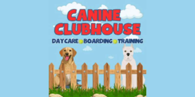 Canine Clubhouse