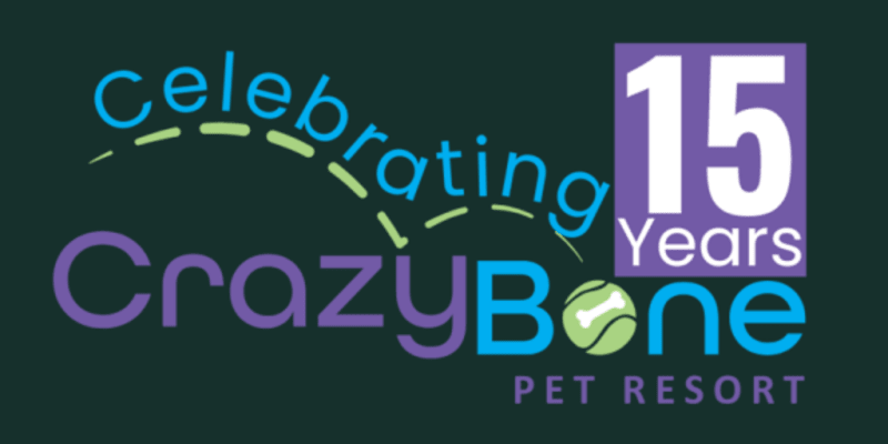 Crazy Bone Pet Resort