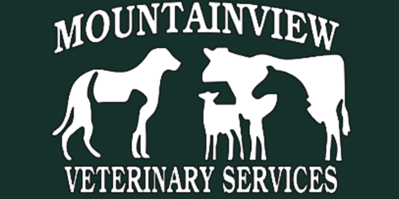Mountainview Veterinary Services Pet Resort and Spa