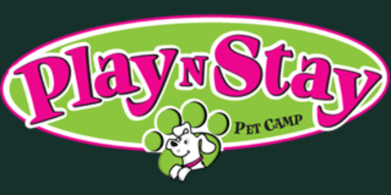 Play N Stay Pet Camp