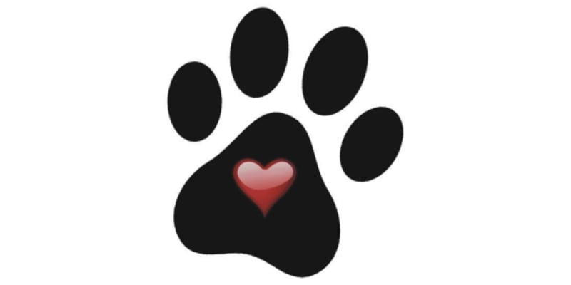 Best Friends Boarding Kennel, LLC