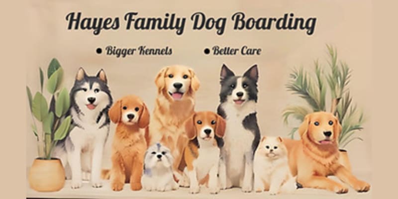 Hayes Family Dog Boarding