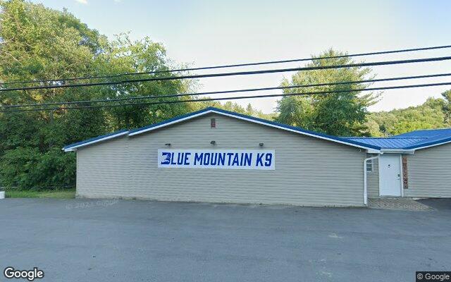 Street-level view near Blue Mountain K-9