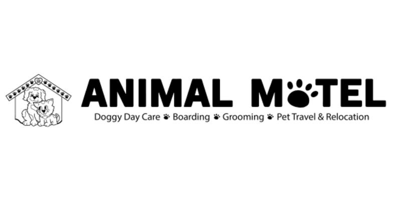 Animal Motel
