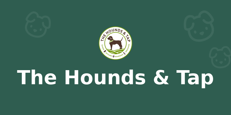 The Hounds & Tap