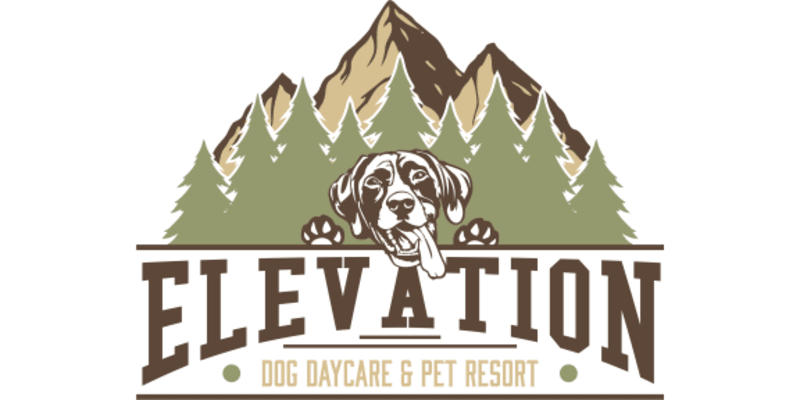 Elevation Pet Resort