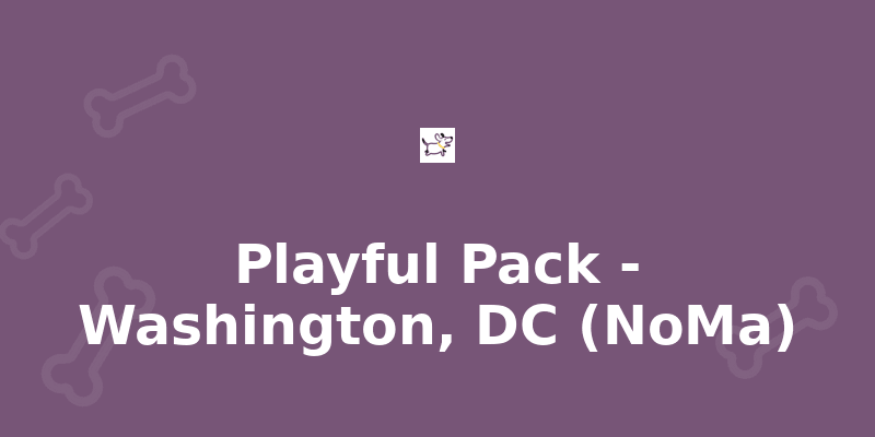 Playful Pack - Washington, DC (NoMa)