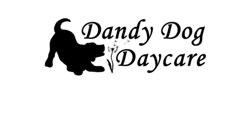 Dandy Dog Daycare