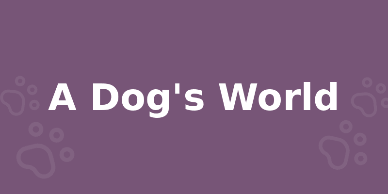 A Dog's World