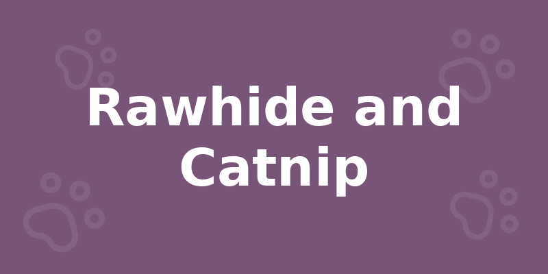 Rawhide and Catnip