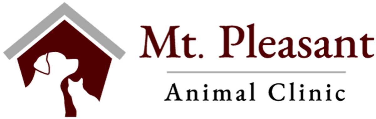 Mt Pleasant Pet Resort