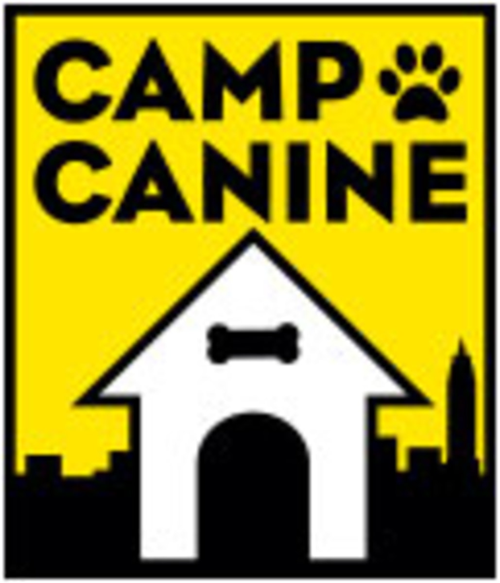 Camp Canine