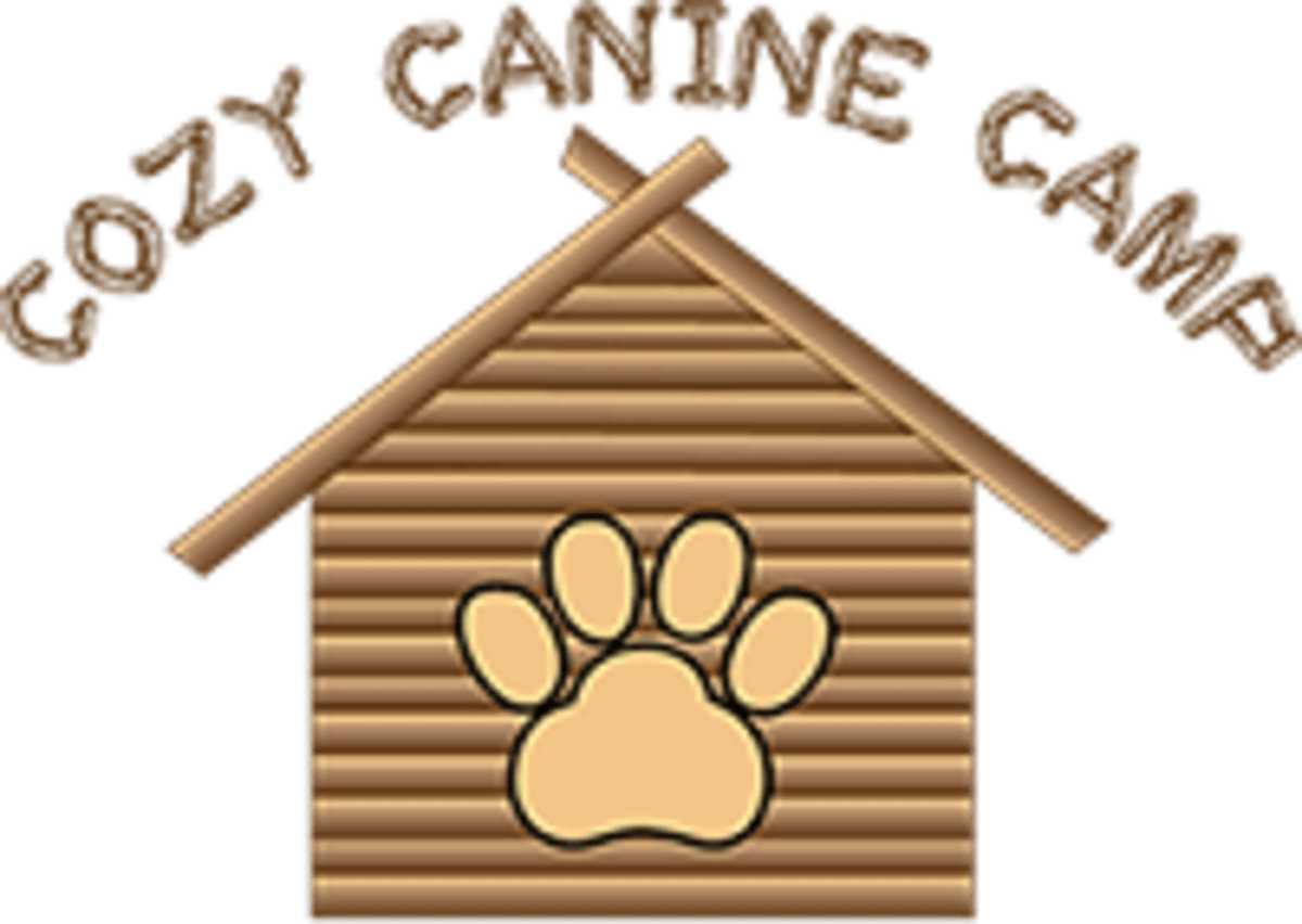 Cozy Canine Camp