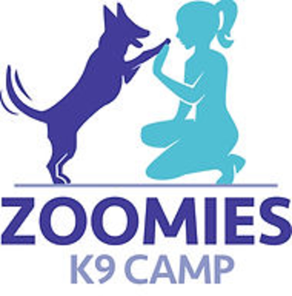 Zoomies K9 Camp