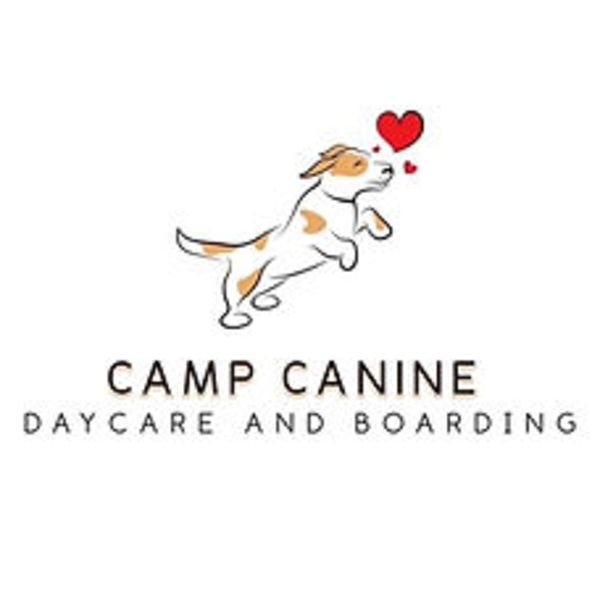 Camp Canine