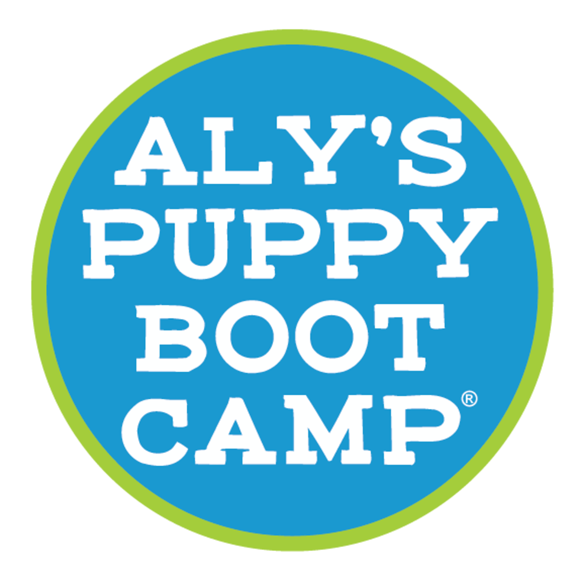 Aly's Puppy Boot Camp