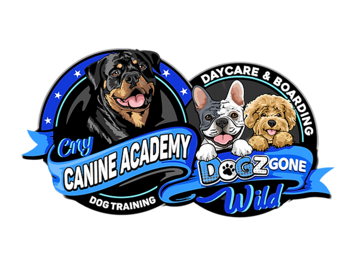 Dogz Gone Wild & CNY Canine Academy
