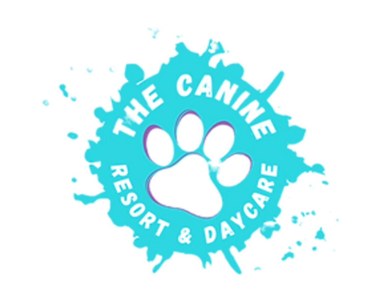 The Canine Resort & Daycare