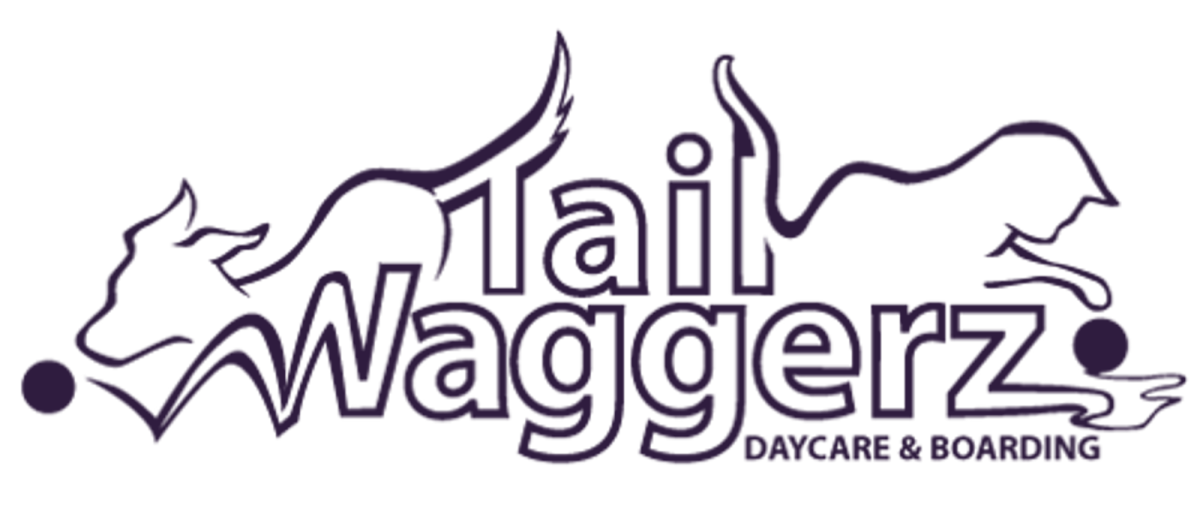 Tail Waggerz Day Care and Boarding