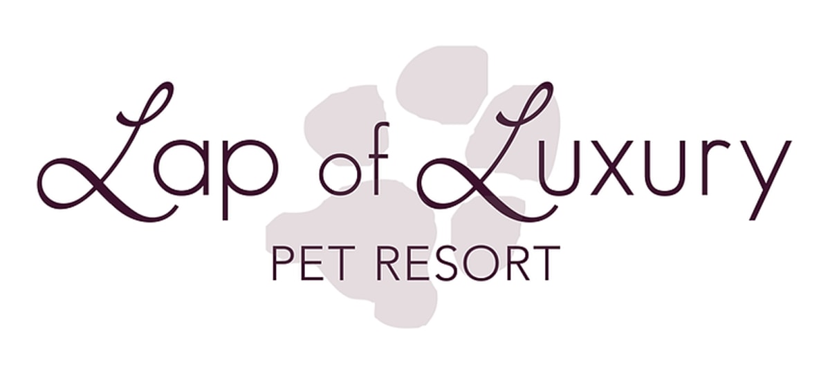 Lap of Luxury Pet Resort