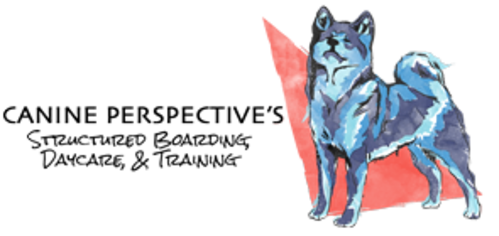Canine Perspective