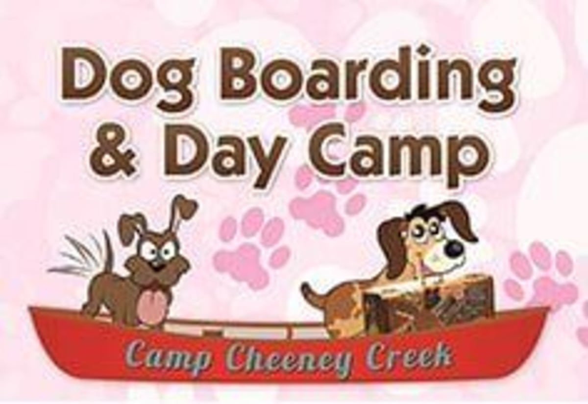 Camp Cheeney Creek