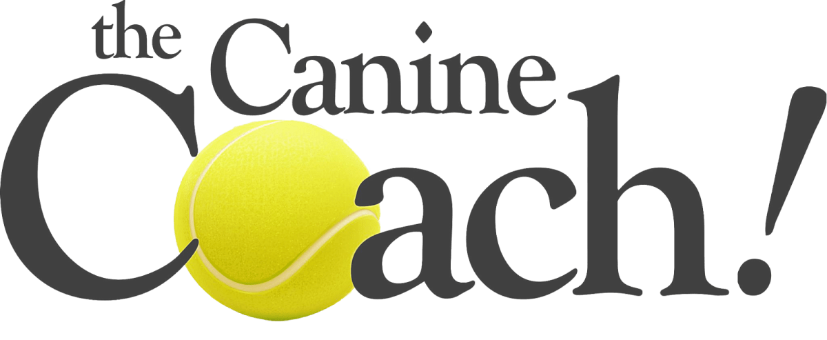 The Canine Coach
