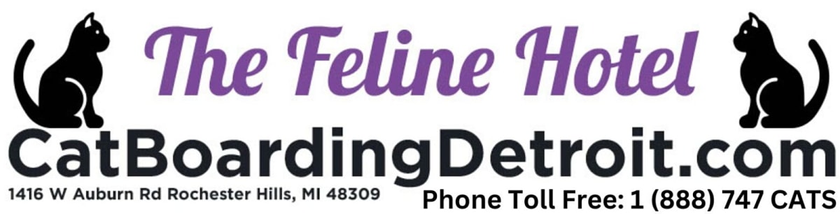 The Feline Hotel & Zen Cat Grooming Spa