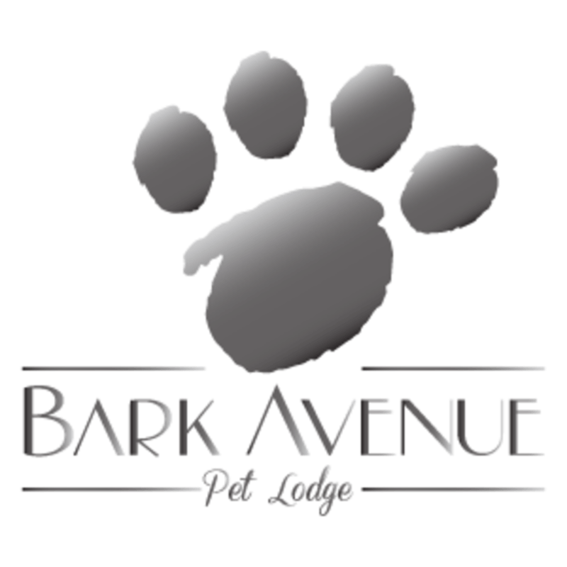 Bark Avenue Pet Lodge - Dog Kennel in Springdale, AR