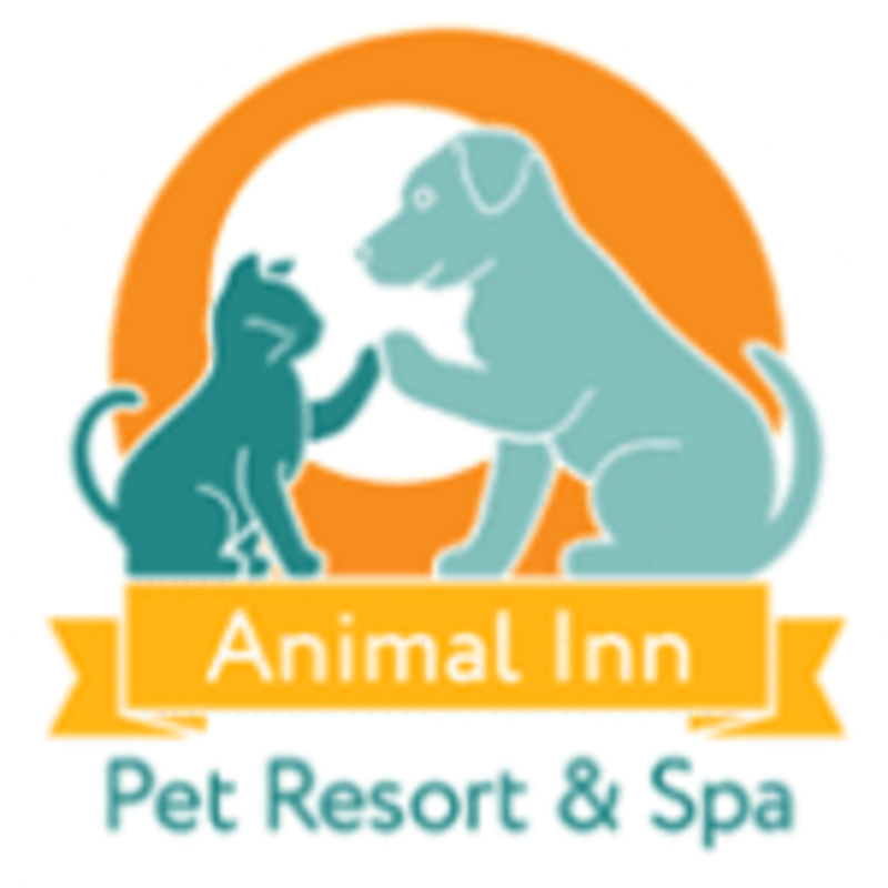 Animal Inn Pet Resort & Spa - Dog Kennel in Lake Elmo, MN