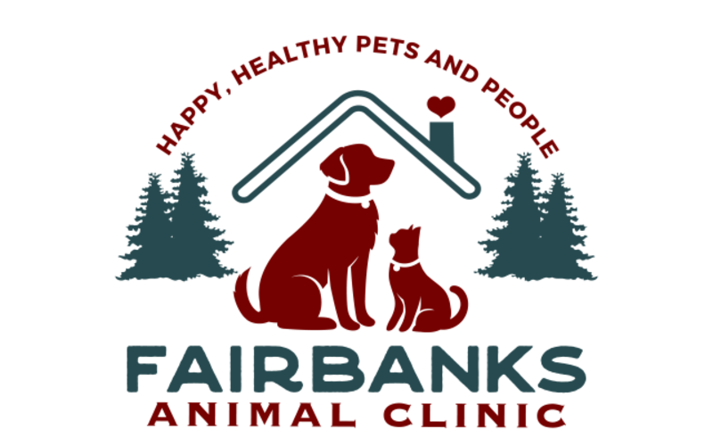 Fairbanks Animal Clinic - Dog Kennel in Houston, TX