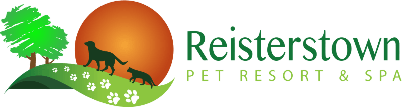 Reisterstown Pet Resort & Spa - Dog Kennel in Reisterstown, MD