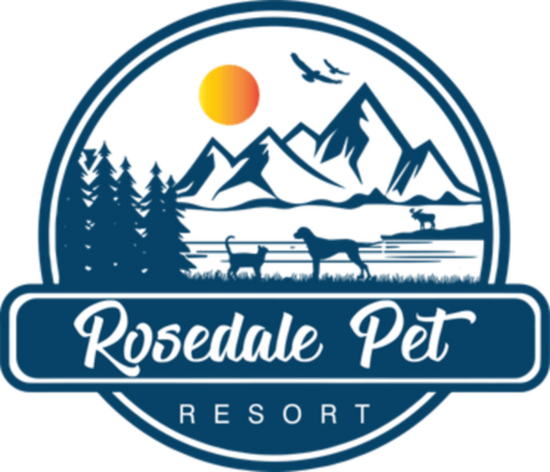 Rosedale Pet Resort - Dog Kennel in Gig Harbor, WA