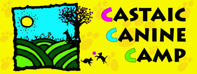 Castaic Canine Camp - Dog Kennel in Castaic, CA