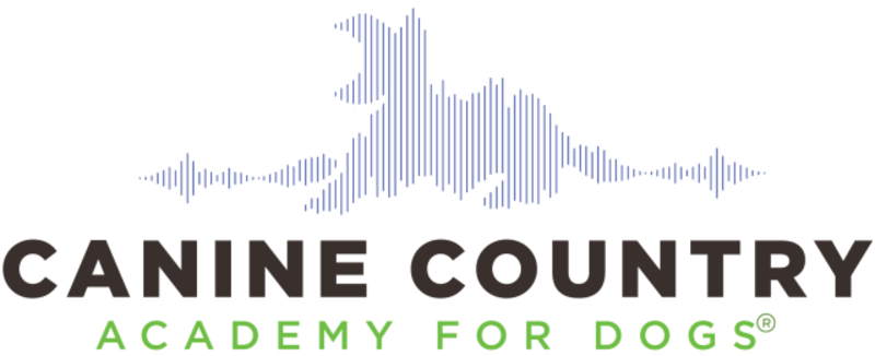 Canine Country Academy - Dog Kennel in Lawrenceville, GA