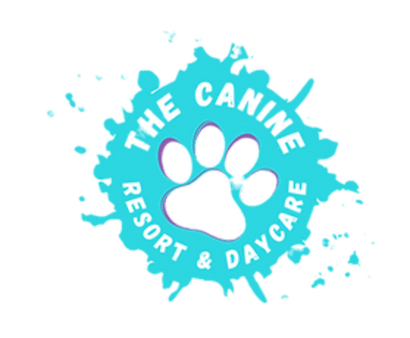 The Canine Resort & Daycare - Dog Kennel in San Angelo, TX