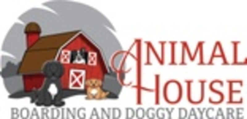 Animal House Boarding - Dog Kennel in Oronoco, MN