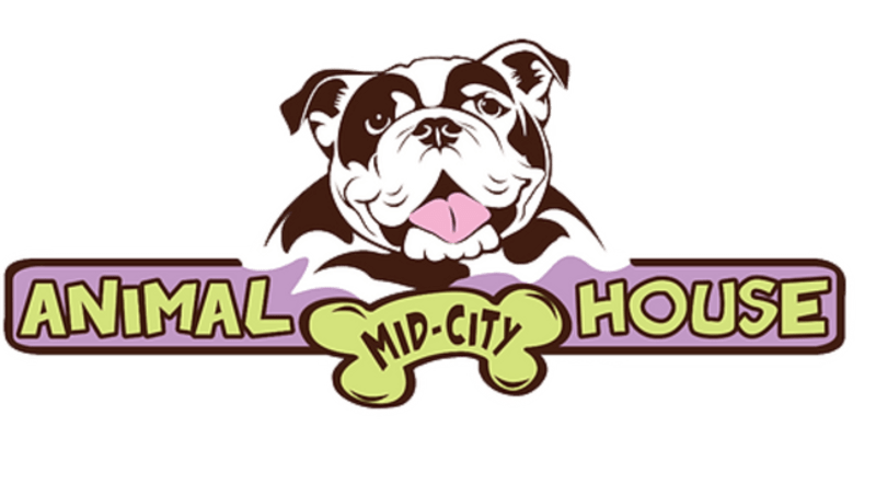 Mid City Animal House - Dog Kennel in New Orleans, LA