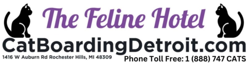 The Feline Hotel & Zen Cat Grooming Spa - Dog Kennel in Rochester Hills, MI