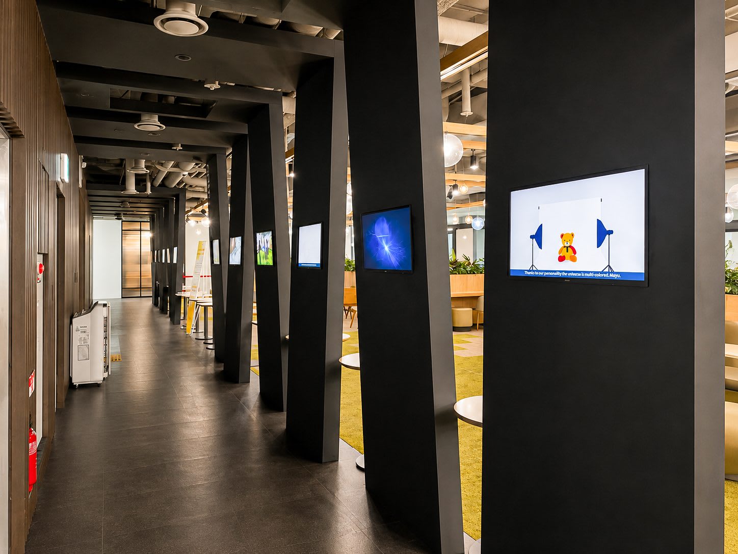 Section 2 Gallery 3